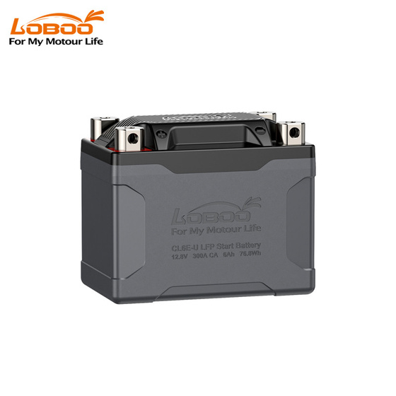 LOBOO Akumulator Litowy (10.1.04060.001.01)