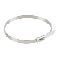 69987 Stainless steel cable ties, 20 pcs set - 4,7x200 mm