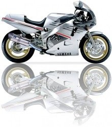 Silencer / Exhaust IXIL YAMAHA FZR 1000 (SOVE)
