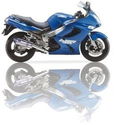 Silencer / Exhaust IXIL KAWASAKI ZZR 1200 [02-03] prawa strona (SOVE)