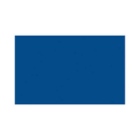 21374 Special paint for brake calipers - 150 ml - Blue