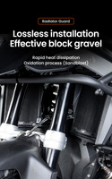 LOBOO Osłona chłodnicy do BMW R1300GS (10.3.07131.001.11)