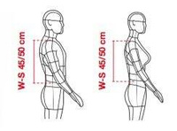 Z140K Back Warrior Evo