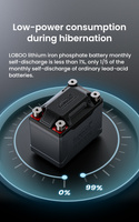 LOBOO Akumulator Litowy (10.1.04060.001.01)