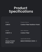 LOBOO Panel chłodnicy z włókna węglowego (czarny mat) do BMW R1300GS (2023-) (10.3.32131.002.11)