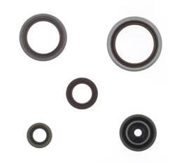 ATHENA KOMPLET (ZESTAW) USZCZELNIACZY SILNIKOWYCH BETA RR 250 / 300 RR RACING '13-'25 (ZASTĘPUJE P400060400011)