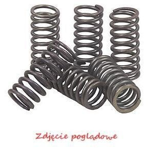 Spr�yny sprz�g�owe EBC (5 szt. w zestawie) CSK180