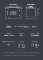 LOBOO Akumulator Litowy (10.1.04120.001.01)