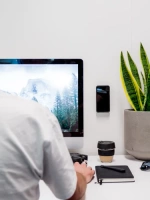 Quad Lock® Adhesive Wall Mount (Twin Pack) (V2)