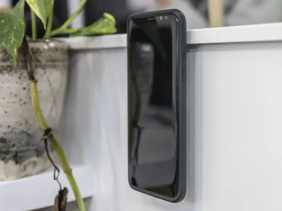 Quad Lock® Adhesive Wall Mount (Twin Pack) (V2)