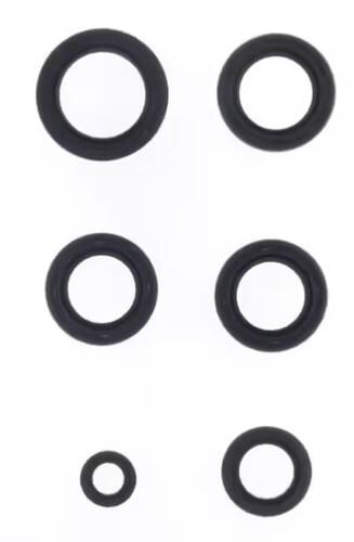 ATHENA KOMPLET USZCZELNIACZY OLEJOWYCH SILNIKA SYM GTS JOYMAX 125 '06-'07, HD 2 125 '03-'07, HD EVO 125 '05-'10, HD EVO 200 '03-'11, JOYRIDE 125 '03-'06, JOYRIDE 200 '05-'09, JOYRIDE 125 '07-'14