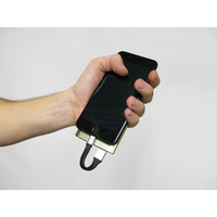 38919 Key chain with Usb > Lightning cable, 10 cm - Blister 1 pc