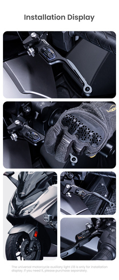 LOBOO Dźwignia hamulca tylnego ze zintegrowanym przełącznikiem świateł (10.1.10372.001.01)