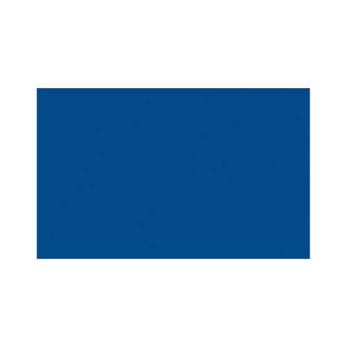 21374 Special paint for brake calipers - 150 ml - Blue