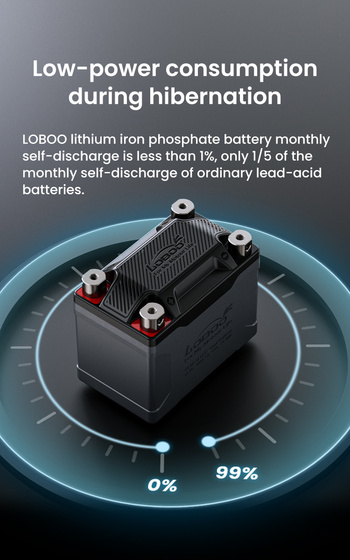 LOBOO Akumulator Litowy (10.1.04060.001.01)