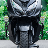 LOBOO Crash Bar do HONDA FORZA350 (2021-) Silver (10.3.01371.001.21)