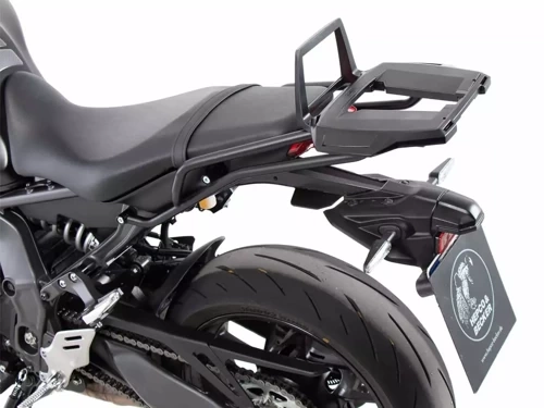 Yamaha MT-09 (2021-) Alurack-Metal carrier for TC