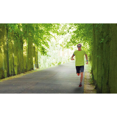 P16154 Arm Band, phone holder - M - max 4,7"