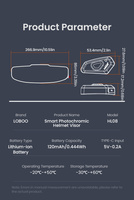 LOBOO Inteligentny wizjer elektrochromatyczny (10.1.06008.001.01)
