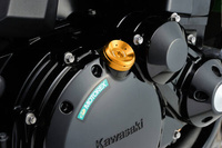 Korek wlewu oleju M30XP1.5/złoty