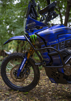 YAMAHA TENERE 700 WORLD RAID (2022-) engine protection "SOLID"