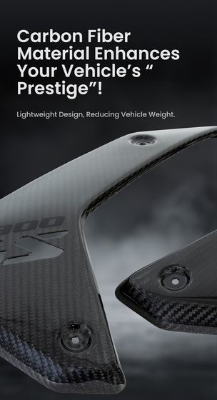 LOBOO Panel chłodnicy z włókna węglowego (czarny metal) do BMW R1300GS (2023-) Carbon Fiber Radiator Panel (10.3.32131.001.11)