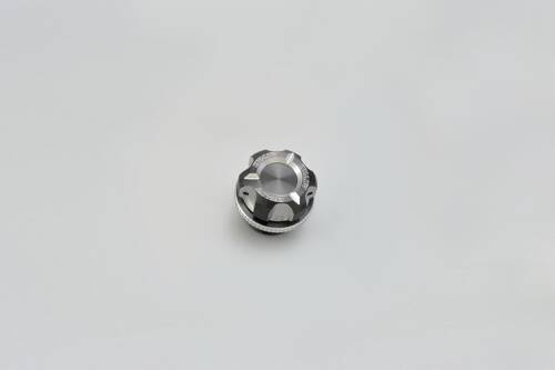 FILLER CAP M20XP2.5 SILVER
