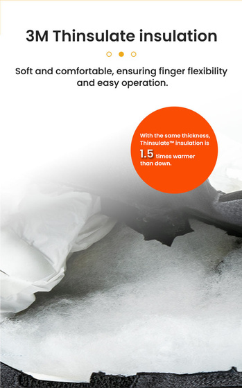 LOBOO Podgrzewane rękawice motocyklowe Czarne (01.2.09059.001.01)