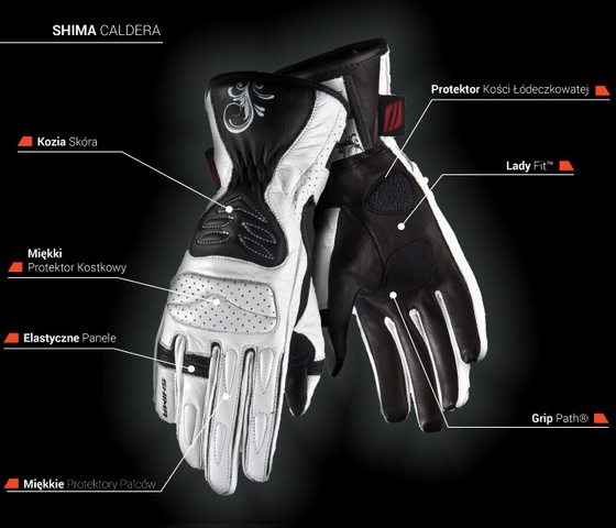 Motorcycle Leather Suit DAINESE AVRO D2 2 PCS