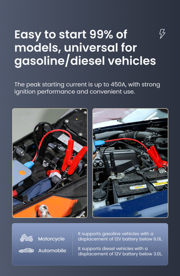 LOBOO Jumpstarter (10.1.04006.001.01)