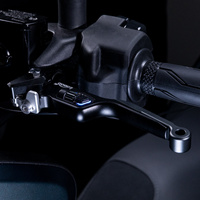 LOBOO Dźwignia hamulca tylnego ze zintegrowanym przełącznikiem świateł (10.1.10862.001.01)