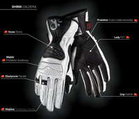 Motorcycle Leather Suit DAINESE AVRO D2 2 PCS 