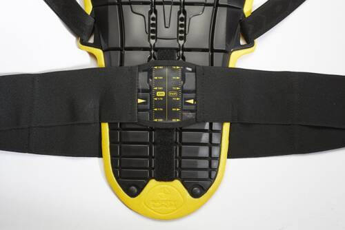 Z140K Back Warrior Evo