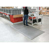 65909 Anti-fatigue mat