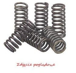 Sprężyny sprzęgłowe EBC (5 szt. w zestawie) CSK101