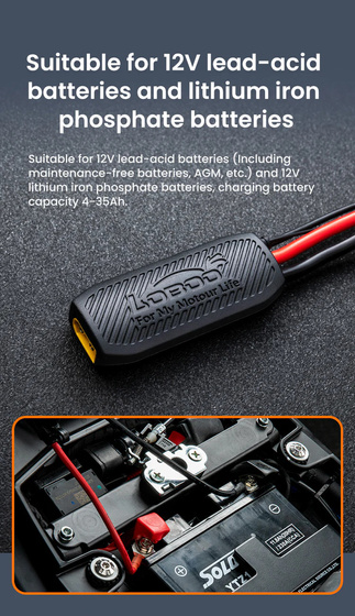 LOBOO Electronic Manager (10.1.04010.001.01)