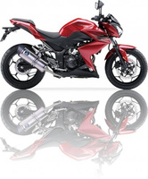 Silencer / Exhaust IXIL KAWASAKI NINJA 250 R, NINJA 300 R [13-15] (SOVE)