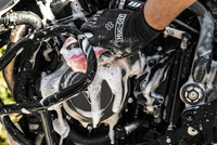 300 Expanding Microcell Sponge