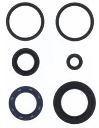 ATHENA KOMPLET USZCZELNIACZY OLEJOWYCH SILNIKA KYMCO B&W 250 '00, GRAND DINK 250 '01-'02, PEOPLE 250 '04-'07, X CITING 300 '08-'09, X CITING 250 '05-'07, G-DINK 300 '12,