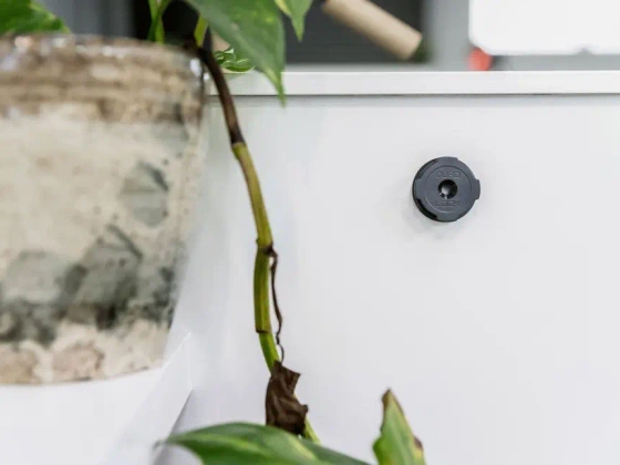 Quad Lock® Adhesive Wall Mount (Twin Pack) (V2)