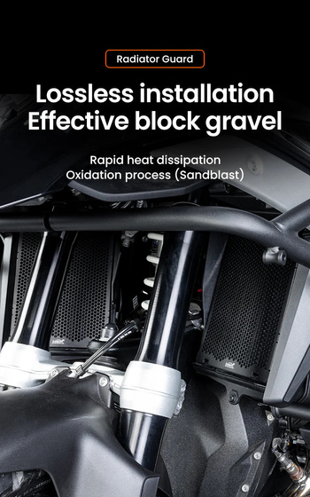 LOBOO Osłona chłodnicy do BMW R1300GS (10.3.07131.001.11)