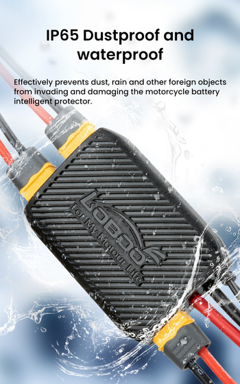 LOBOO Electronic Manager (10.1.04002.001.01)