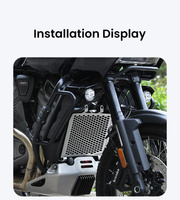 LOBOO Osłona chłodnicy do HARLEY-DAVIDSON PAN AMERICA 1250 (2021-) (10.3.07951.001.21)