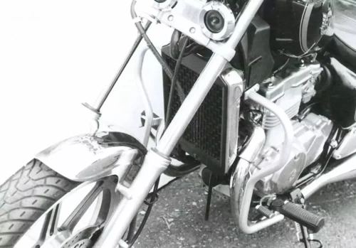 Kawasaki EN 500 (1990-1995) engine guard